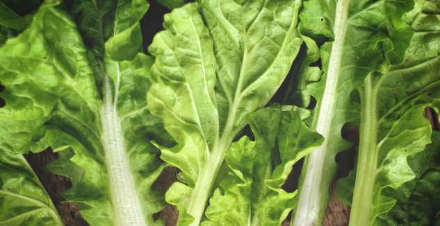 Chicken Noodle Lettuce Wraps