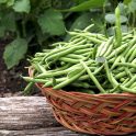 Orzo pasta green beans